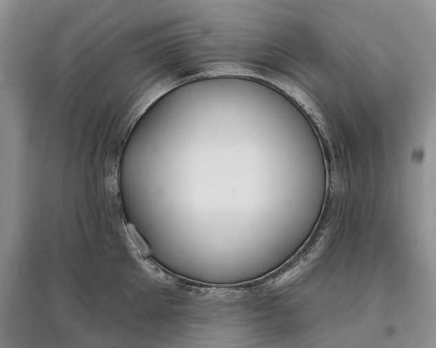 X0000097590905200803141852