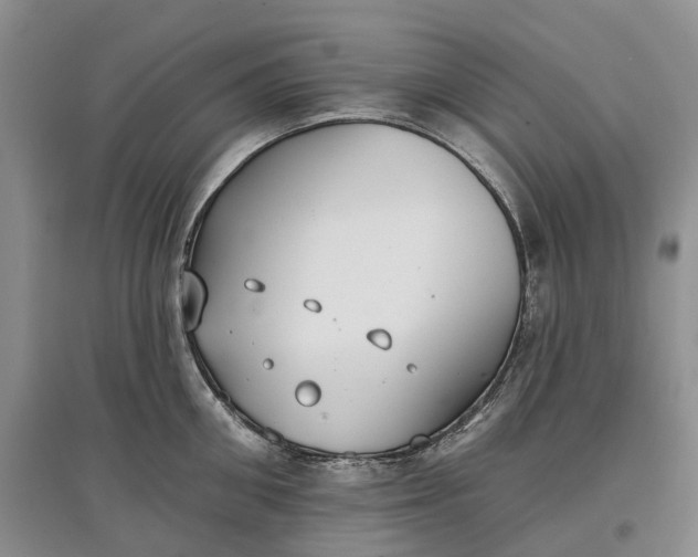 X0000097590906200803141852