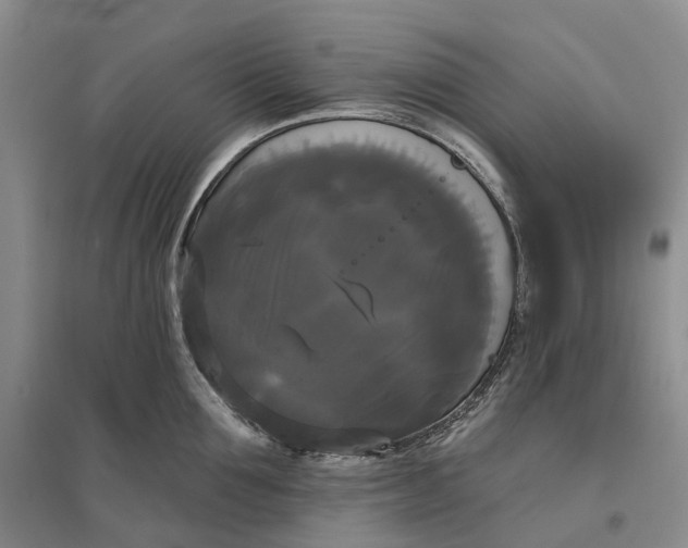 X0000097590907200803141852