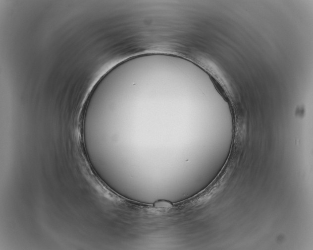 X0000097590908200803141852