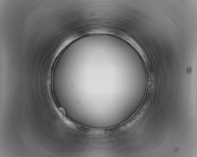 X0000097590909200803141852