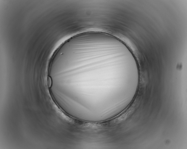 X0000097590910200803141852