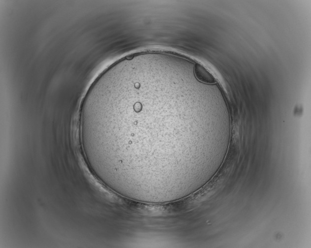 X0000097590911200803141852