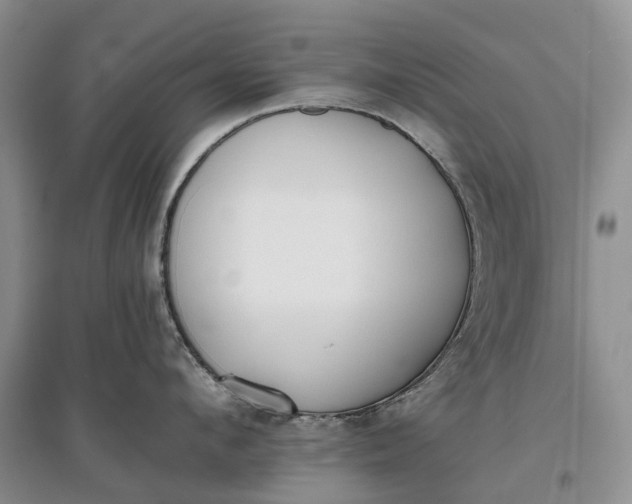 X0000097590912200803141852