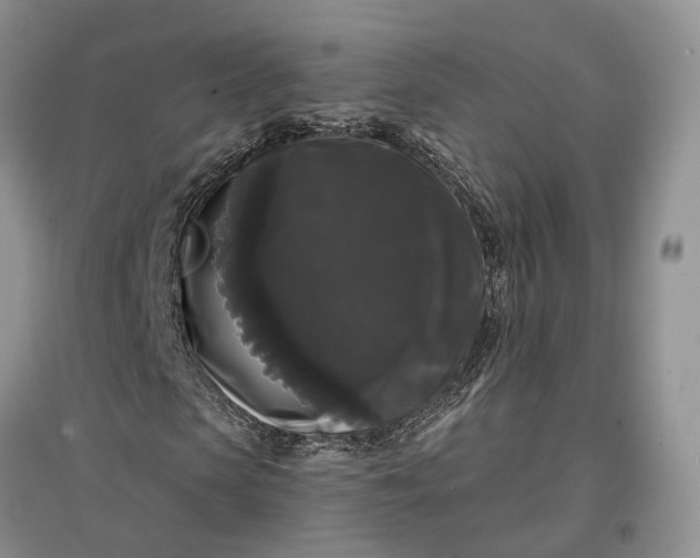 X0000097590913200803141851