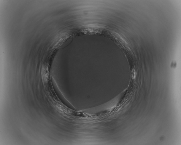 X0000097590915200803141851