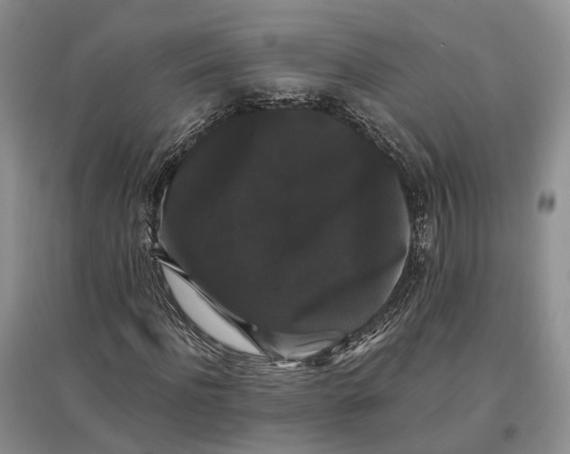 X0000097590916200803141851