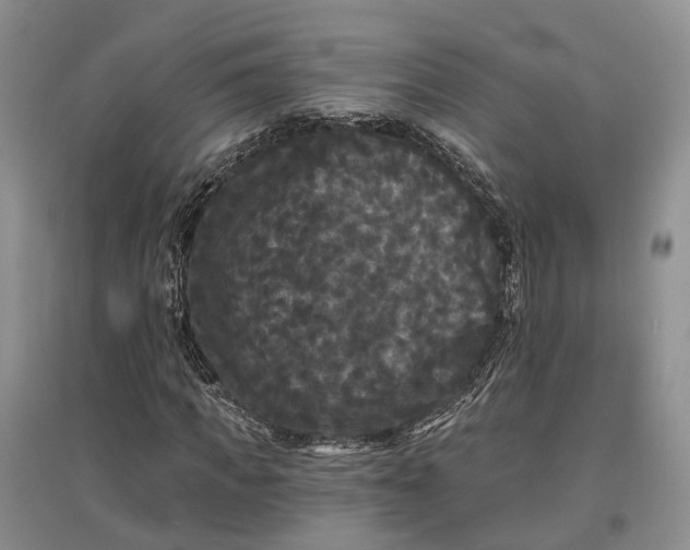 X0000097590917200803141851