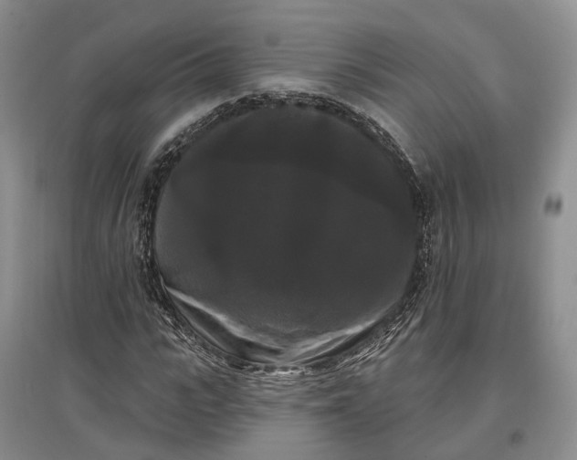 X0000097590919200803141851