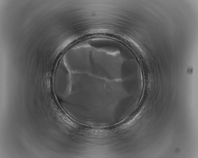 X0000097590921200803141851