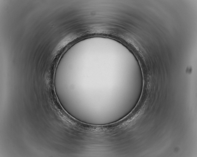 X0000097590922200803141851