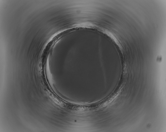 X0000097590923200803141851