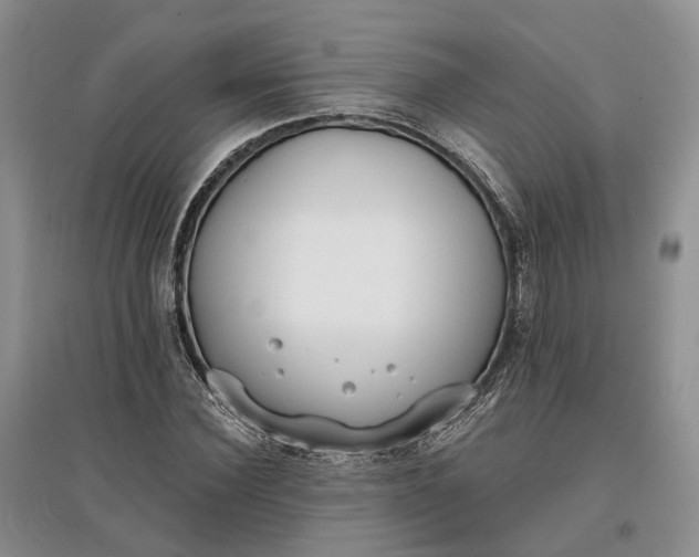 X0000097590924200803141851