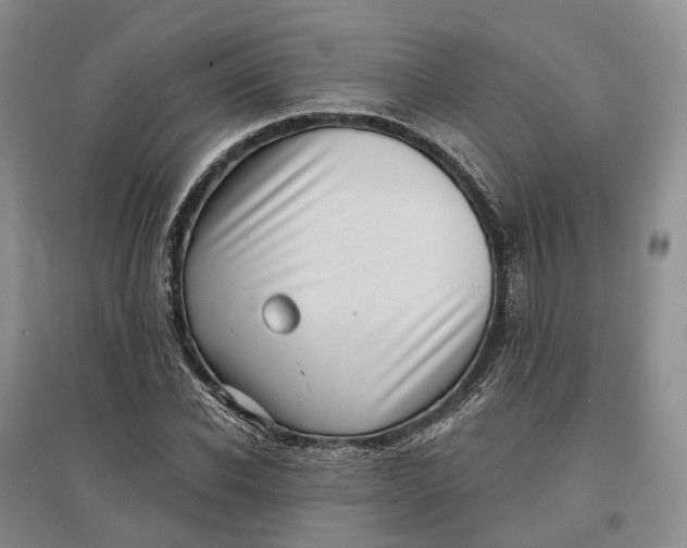 X0000097590926200803141851