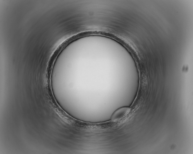 X0000097590927200803141851