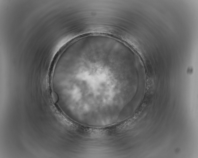 X0000097590928200803141851