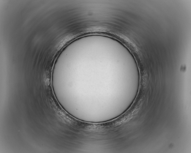 X0000097590929200803141851