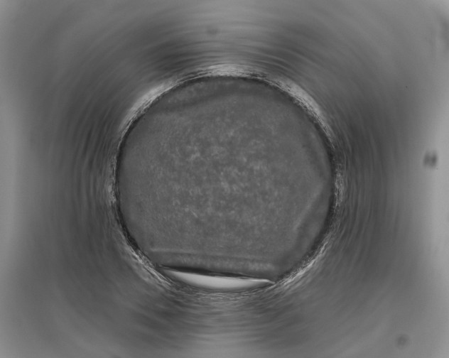 X0000097590930200803141851