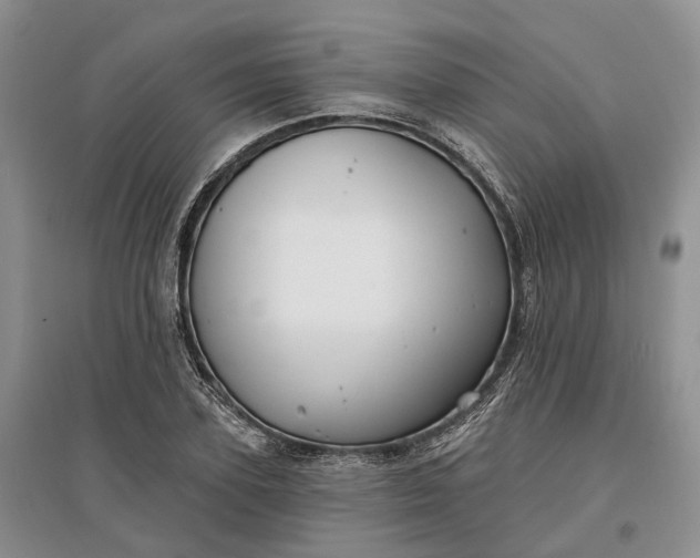 X0000097590931200803141851