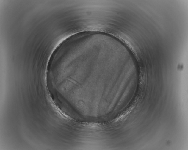 X0000097590932200803141851