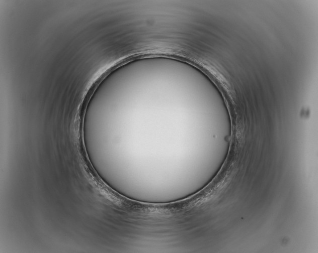 X0000097590933200803141851