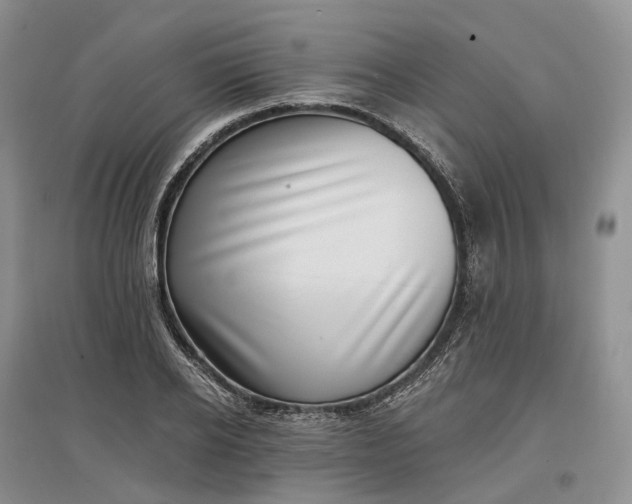 X0000097590934200803141851