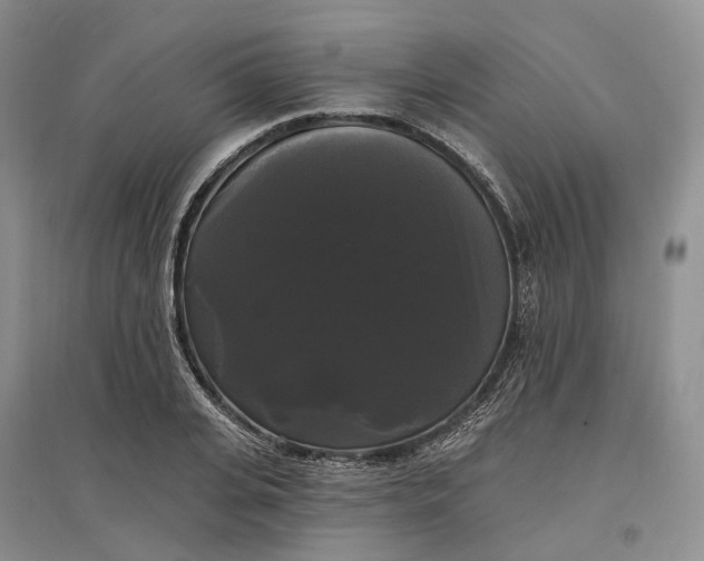 X0000097590935200803141851