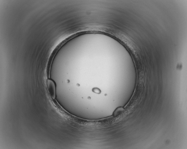 X0000097590936200803141851