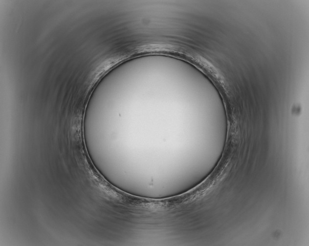 X0000097590937200803141851