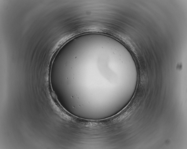 X0000097590938200803141851