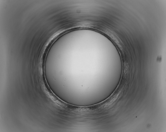 X0000097590939200803141851