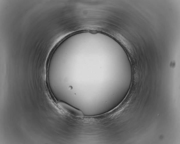 X0000097590940200803141852