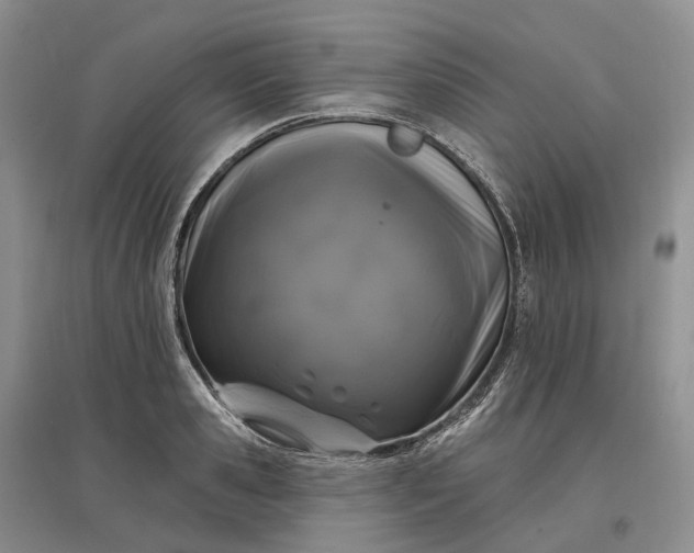 X0000097590941200803141852