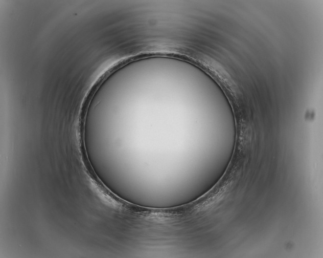 X0000097590942200803141852