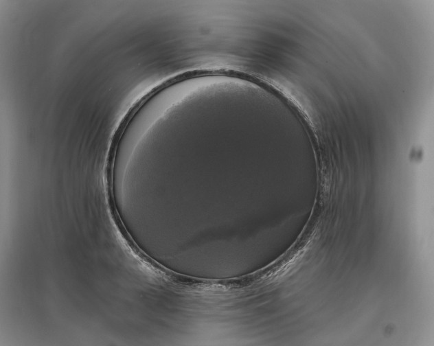 X0000097590943200803141852