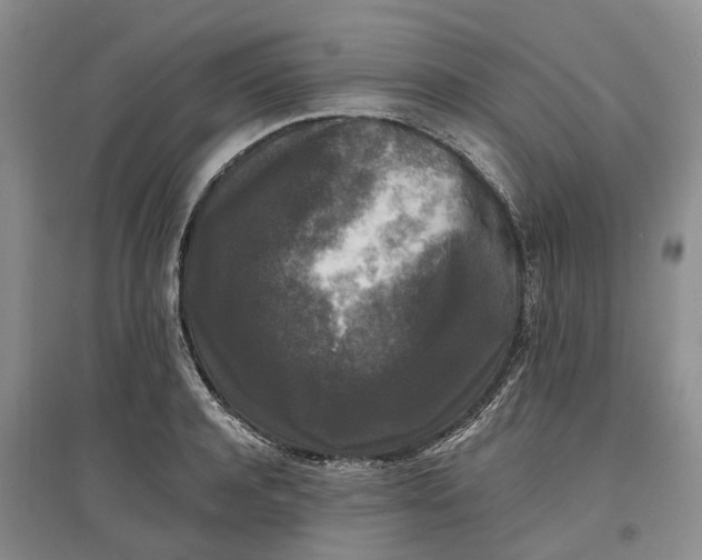 X0000097590944200803141852