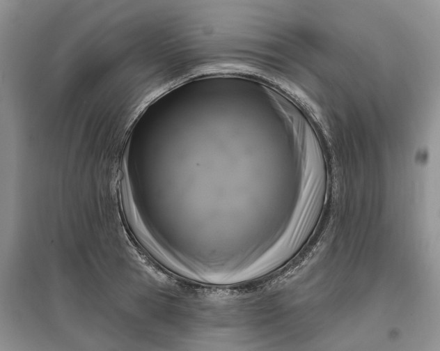 X0000097590945200803141852