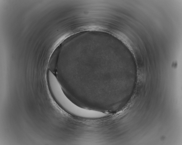 X0000097590946200803141852