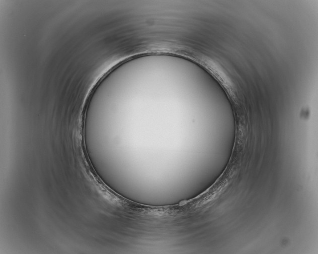 X0000097590948200803141852