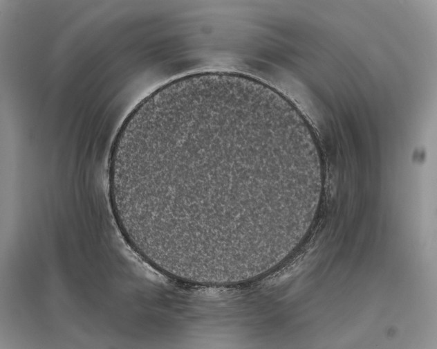 X0000097590950200803141852