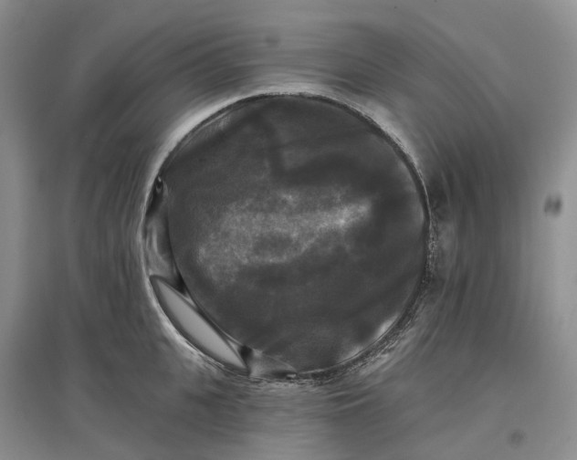 X0000097590951200803141852