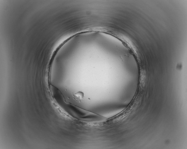 X0000097590952200803141852