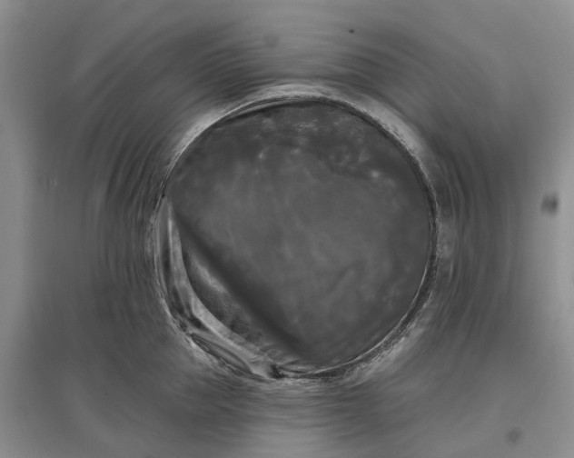 X0000097590953200803141852