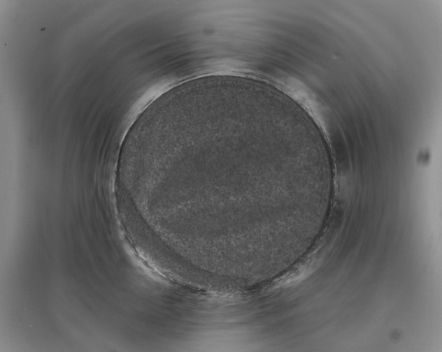 X0000097590954200803141852