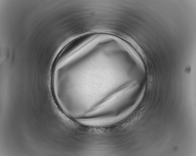 X0000097590955200803141852