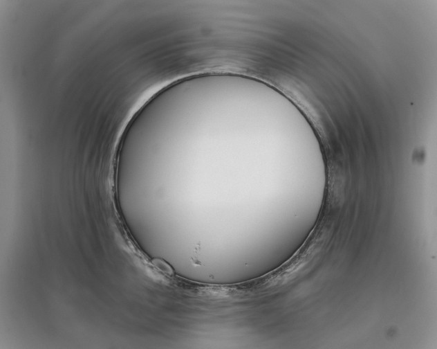 X0000097590956200803141852