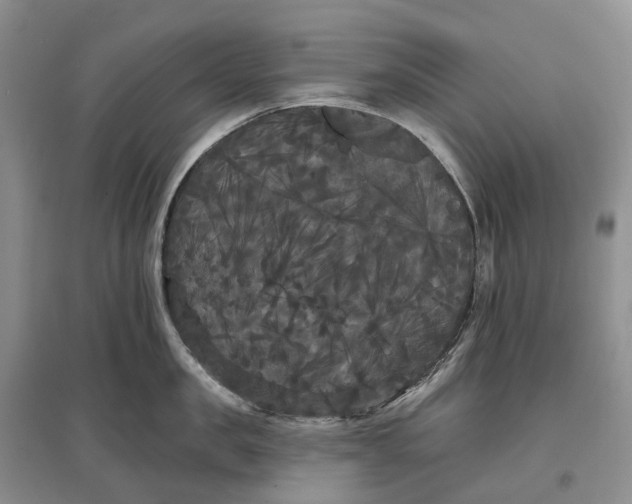 X0000097590957200803141852