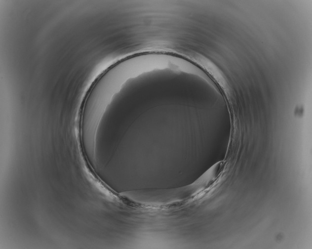 X0000097590958200803141852