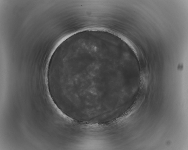 X0000097590959200803141852