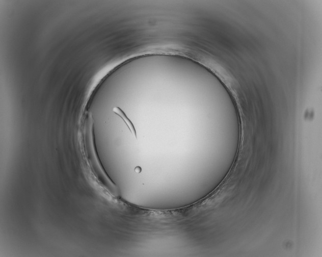 X0000097590960200803141852